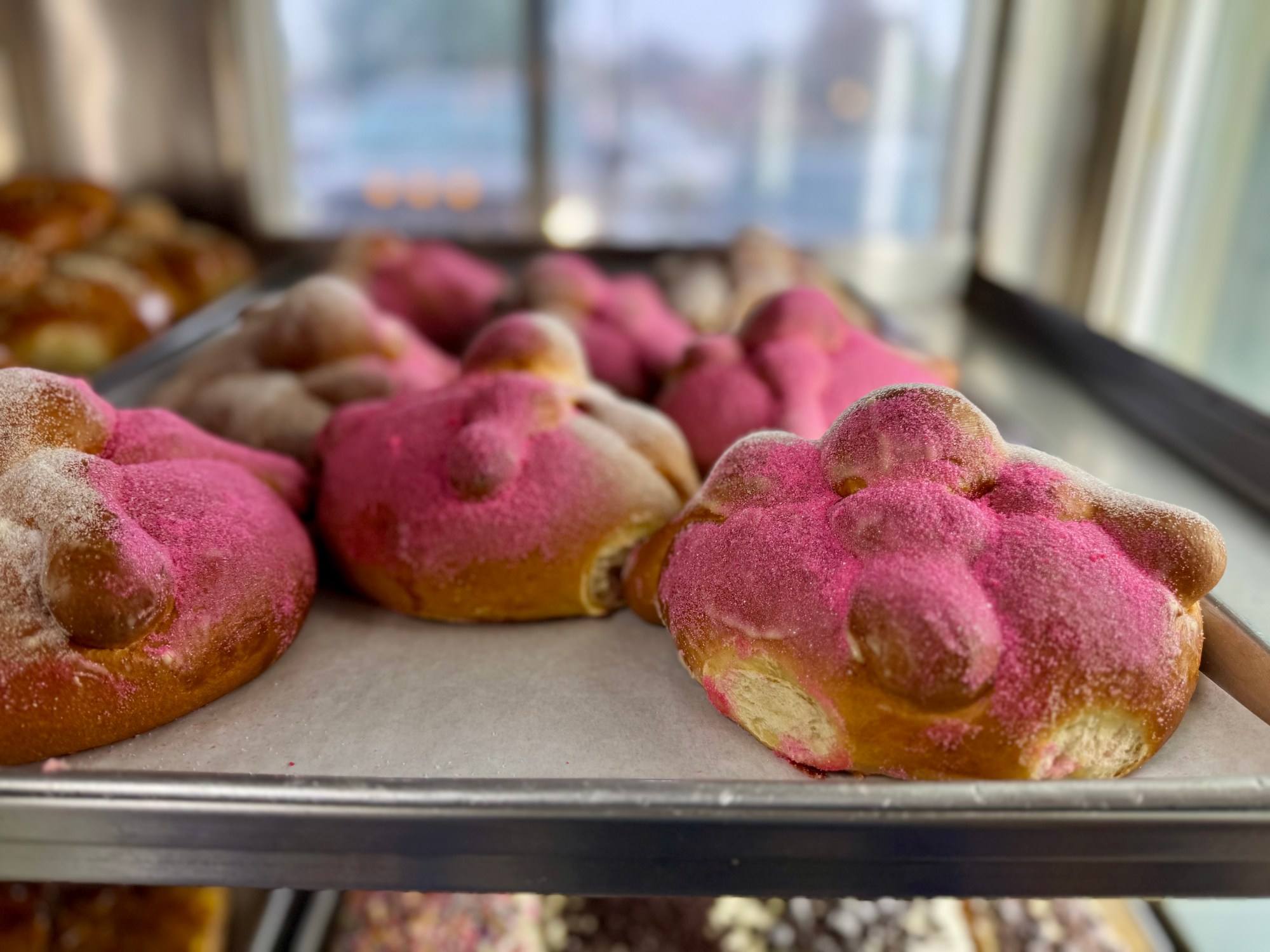 Pan de muerto, a traditional Mexican bread eaten during Día de los Muertos, is available at El Campeon Bakery in San Juan Capistrano. (Photo by Brock Keeling, Orange County Register/SCNG)
